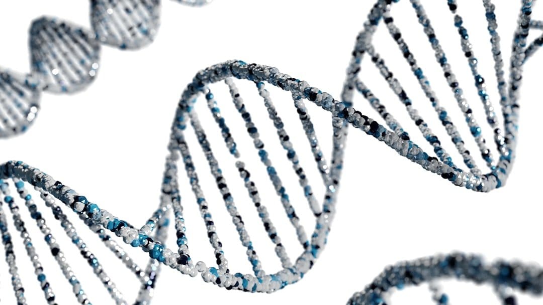Human Embryo Base Editing Raises a Quiet New Risk